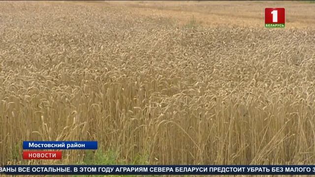 В Беларуси продолжается уборочная кампания