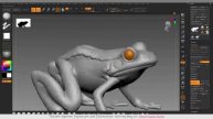 Sculpting a frog from start to finish (Curvy 3D Go and ZBrush)