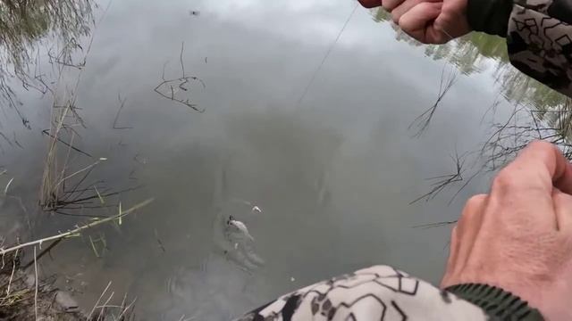 РЫБАЛКА НА ДОНКИ