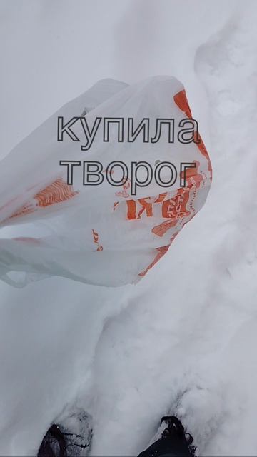 купила творог