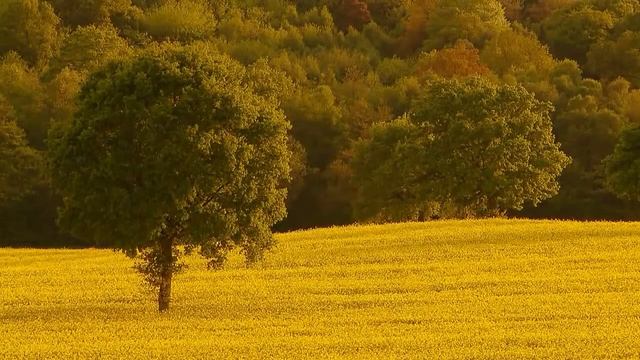 Милость Твоя,Христианские песни