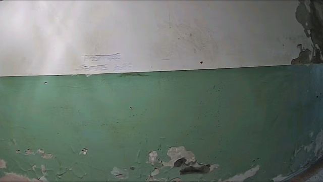 26-02-2025Тварь уже в наглую идет пакет вытряхивает у дверей моих не знает как же еще нагадить.