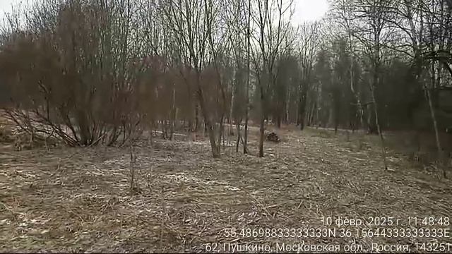 50-18-0080430-836 д. Пушкино
