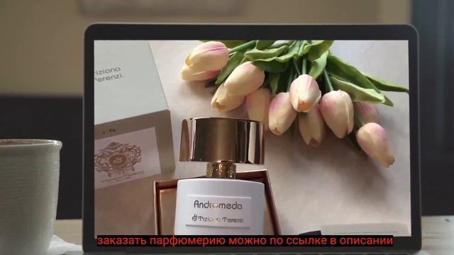 Тициан Терензи Андромеда Описание
