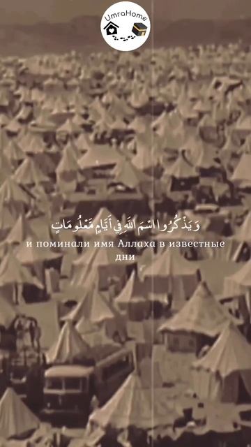 Посланник Аллаhа ﷺ сказал:
«Нет иной награды за принятый
Аллаhом Хадж, кроме Рая».