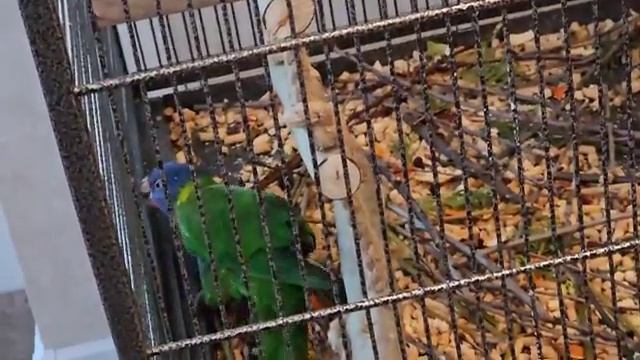 Приехал_В_Киев_На_Сделку