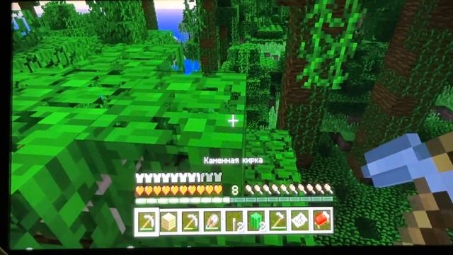 Прохождение Minecraft #3