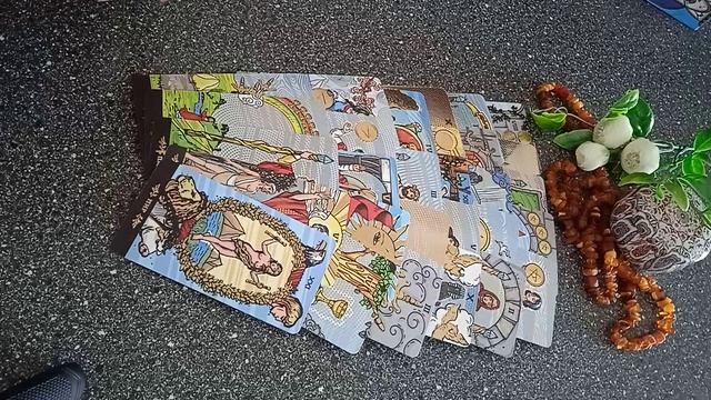 VID_20250226_142443.mp4