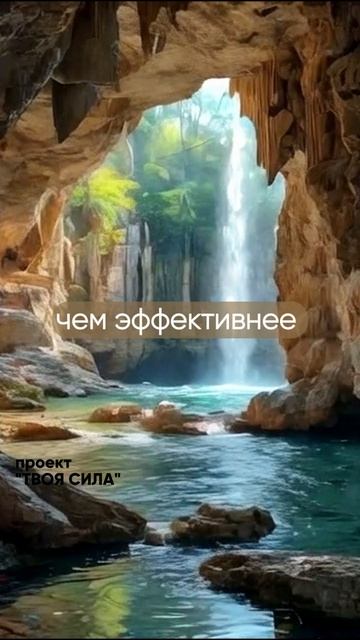 успех в жизни