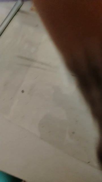 голубой пенал чеееек