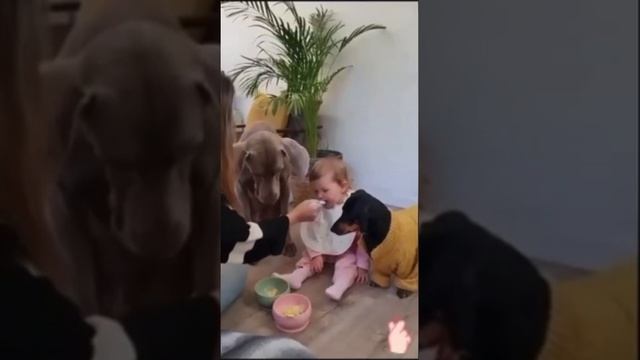 Вместе и вкусней, и веселей.mp4