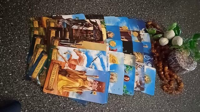 VID_20250226_172436.mp4