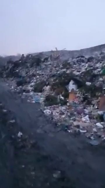 Городская свалка Ростов на Дону  переулок Машиностроительный 1