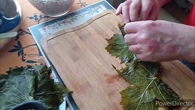 Долма - это очень просто! Голубцы в виноградных листьях