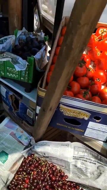 fruits фрукти մրգեր #armenia #ohanavan#biayna самые сладкие фрукты мира