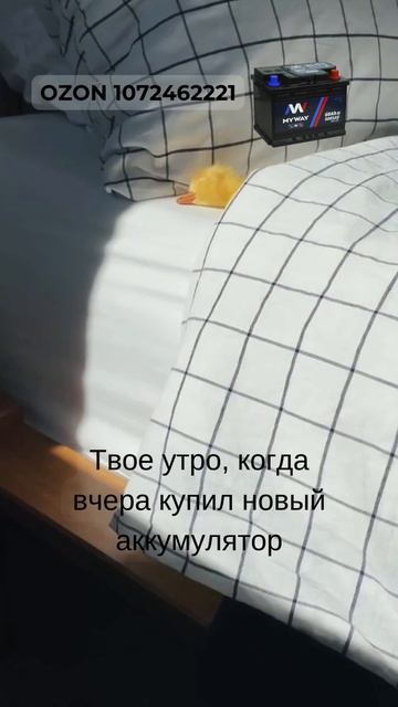 Счастливый обладатель нового аккумулятора утром 🌞