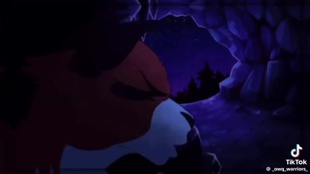 1000024855.mp4