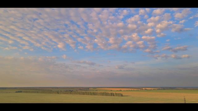 Летний вечер в Федякино