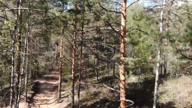 Раздолье 17 08 2019