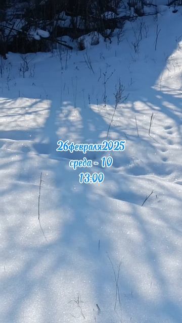 26февраля2025