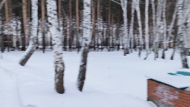 Прогулка по санаторию Доволенскому