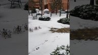 Зима в городе создаёт поэтическое настроение. Скоро ли весна наступит в Краснодаре.