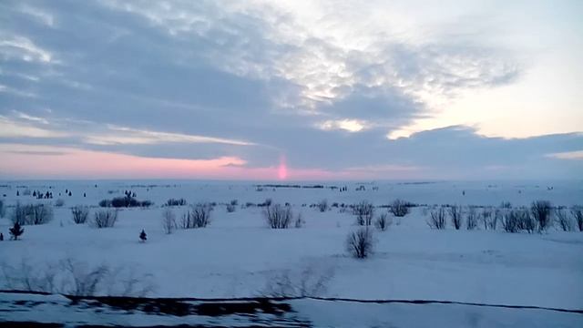 Одна сплошная тундрааа