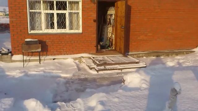 кот Серега в снегу, осоргино, 13.12.2011