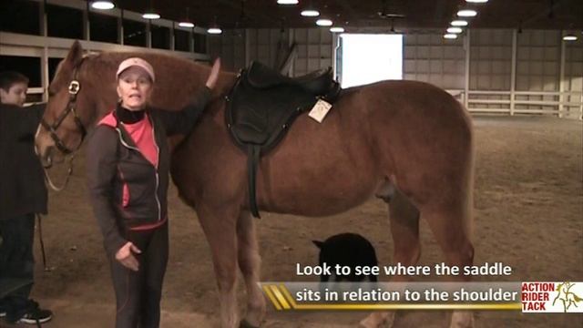 Positioning Treeless Saddles on Horse for First Time