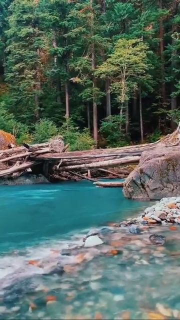 بحيرة بيكر في واشنطن الشمالية،الولايات المتحدة الأمريكية.Baker Lake in northern Washington State,US