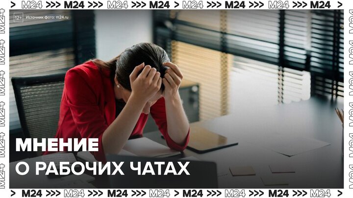 Москвичи поделились своим мнением о рабочих чатах - Москва 24