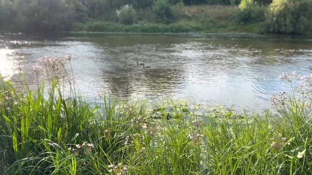 Вечер в Орехово-Зуево
