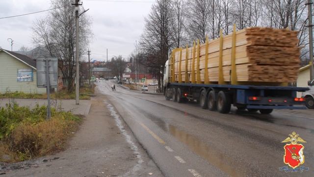 Незаконная рубка леса в окрестностях п. Зайчики Бабушкинского района