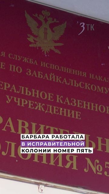 Читинская семья приютила собаку-пенсионерку