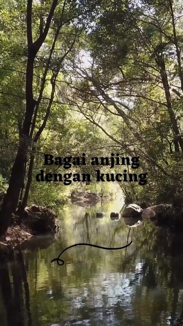 Kumpulan Peribahasa Indonesia #44 | Bagai Anjing Dengan Kucing