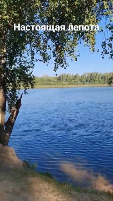 Лепота подмосковного водохранилища