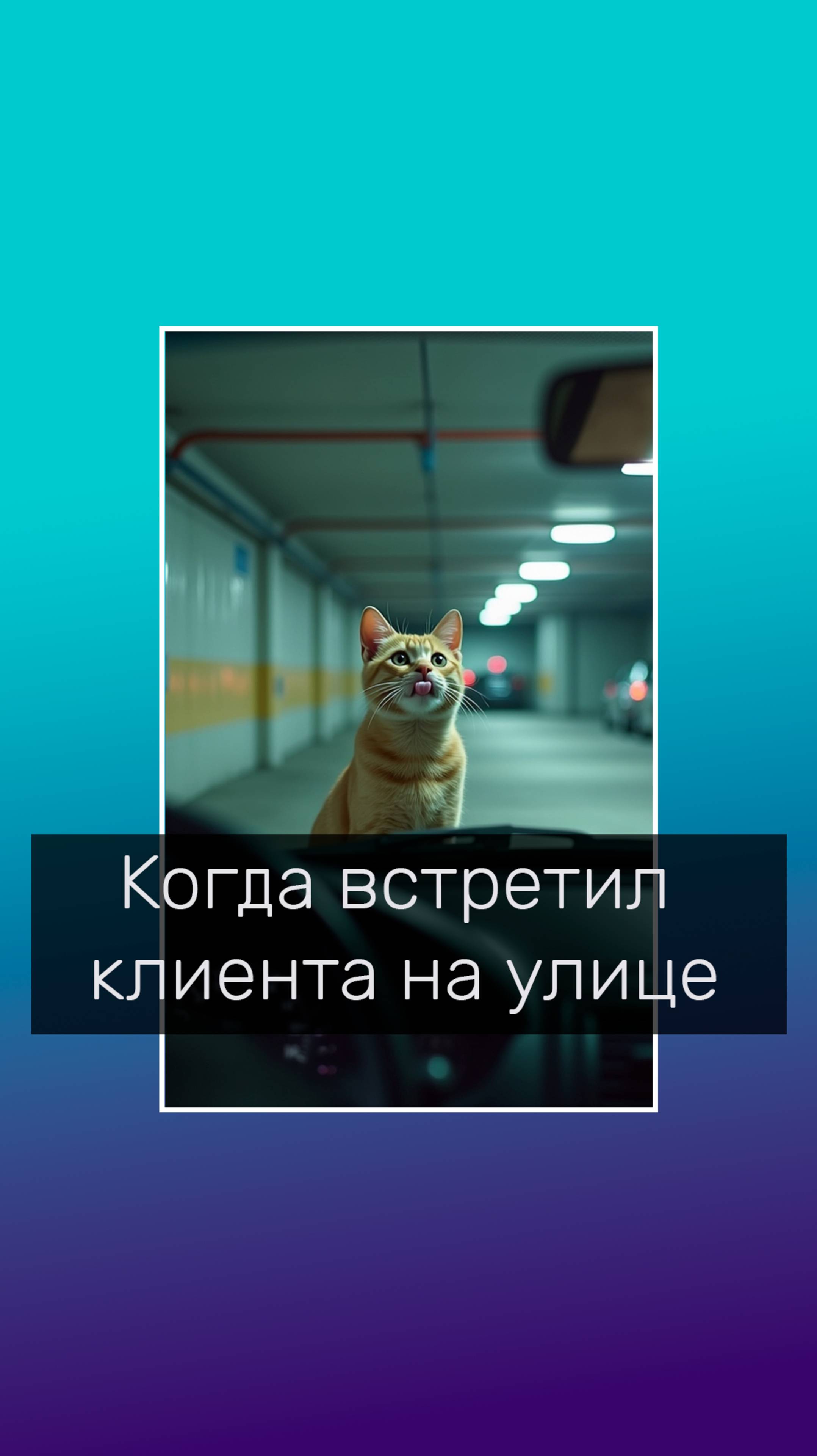 Когда встретил клиента на улице... #психологическийюмор #кот #удивление #mel_mindset #психолог #влг