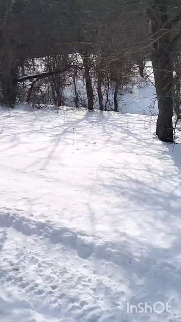 1000009042.mp4