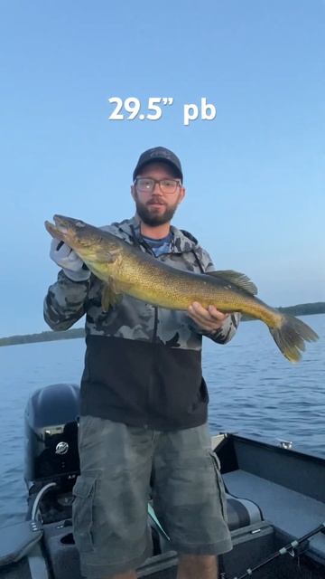 Giant walleye of Bobs lake, Ontario.