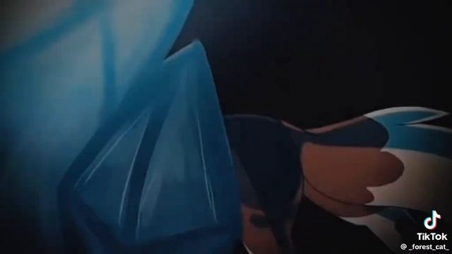 1000024853.mp4