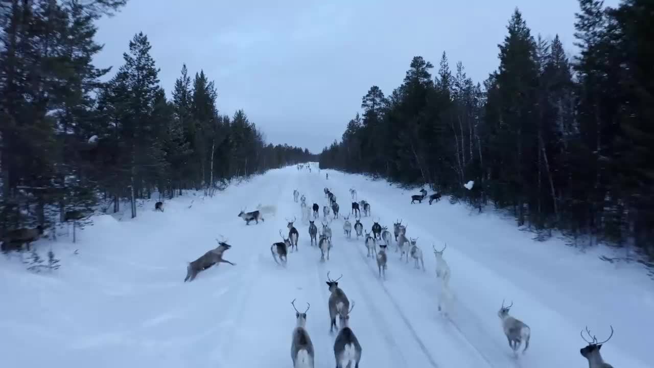 ййцуеуке