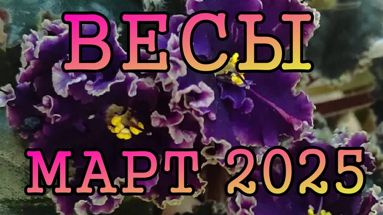 ВЕСЫ таро прогноз на МАРТ 2025 года.