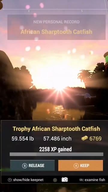 Fishing Planet Congo River Trophy African Sharptooth Catfish