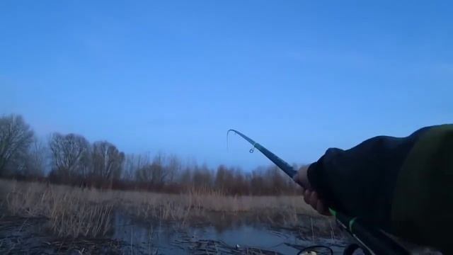 Рыбалка, весна 2024