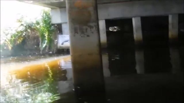 Вниз по реке Эстеро
