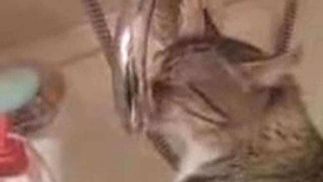Утро с похмела (смотреть до конца)