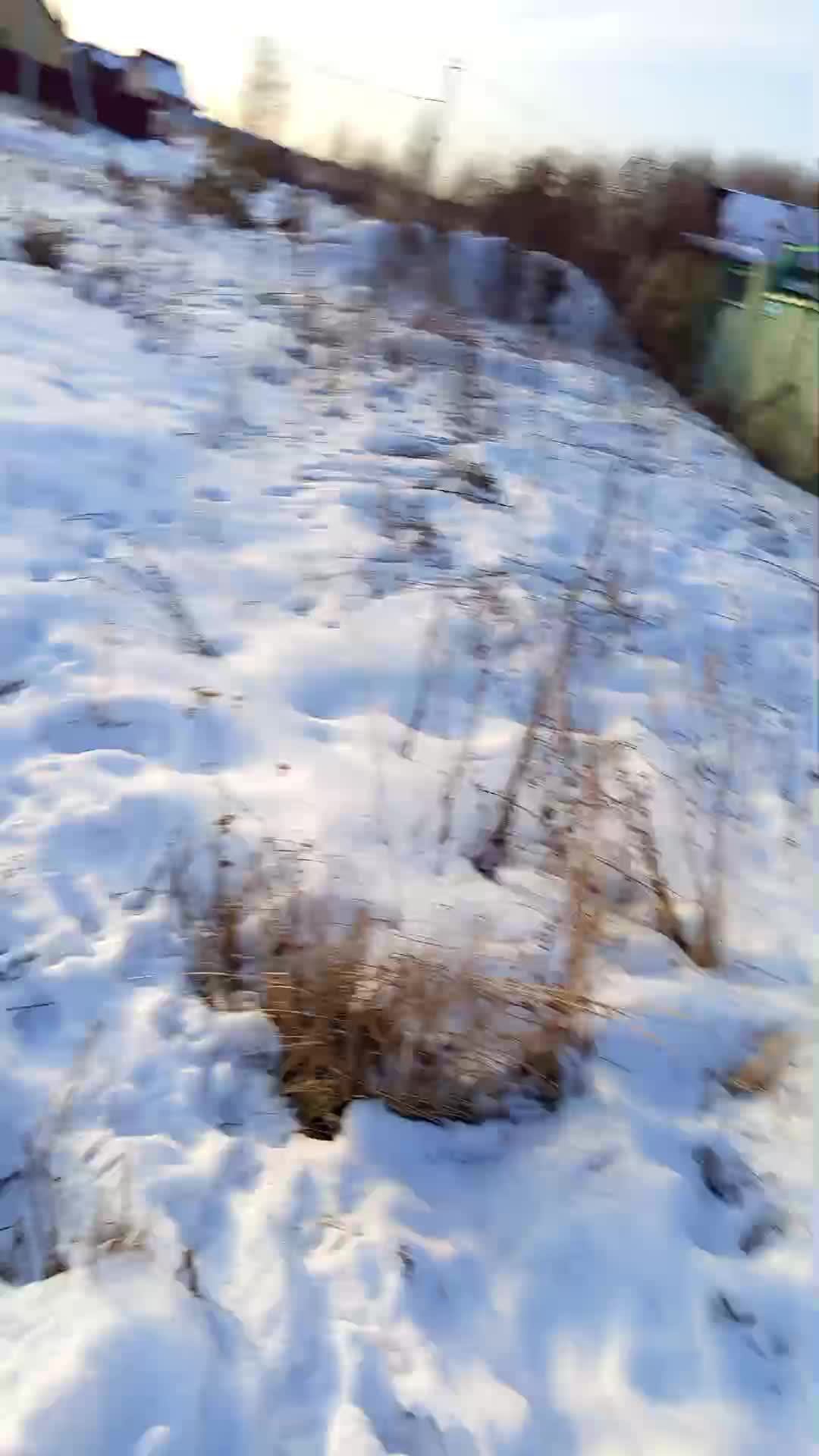 гулять