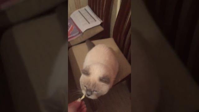 Сырая картошка☺️👅