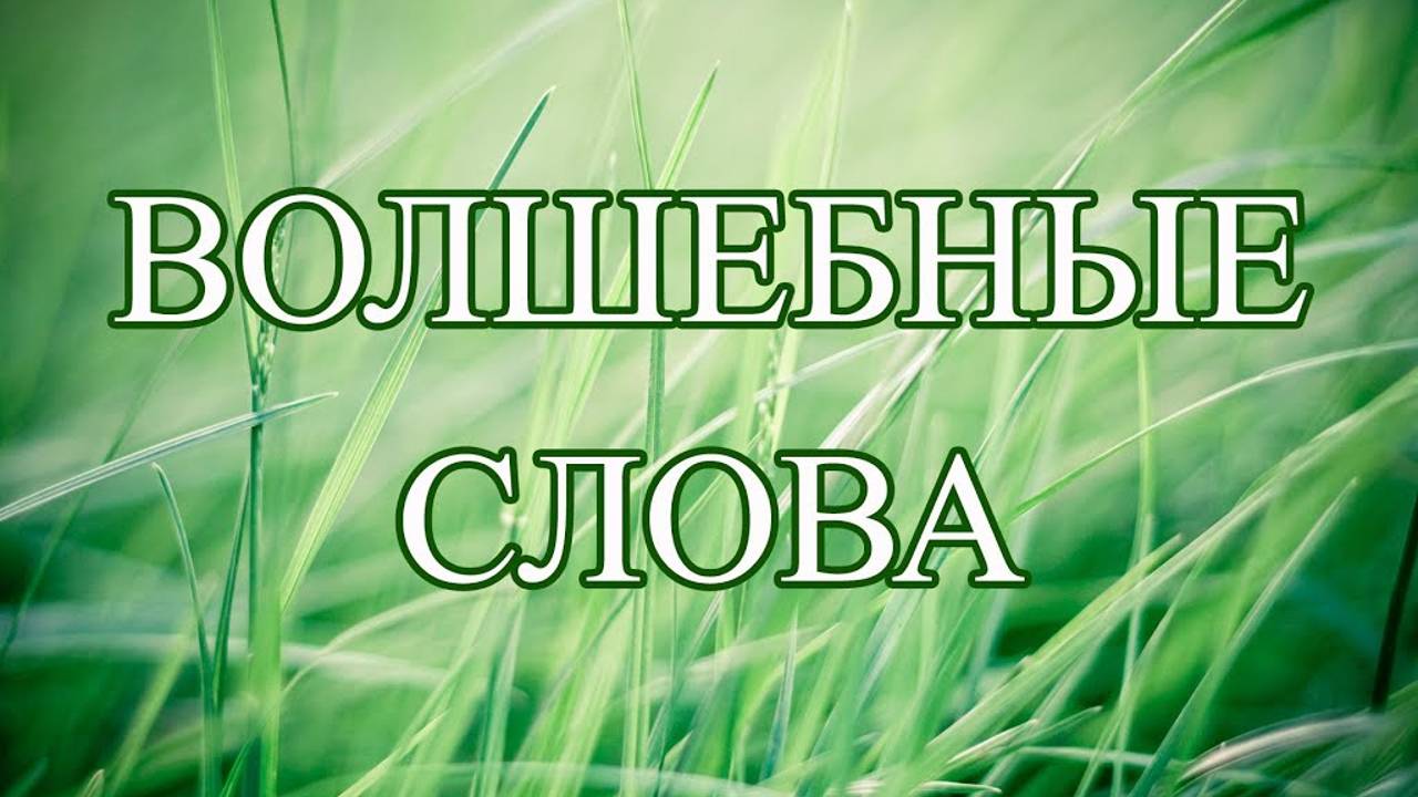 Стихотворение: "Всегда за что есть попросить прощения"