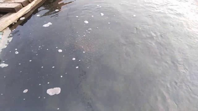 2я часть конец зимовки